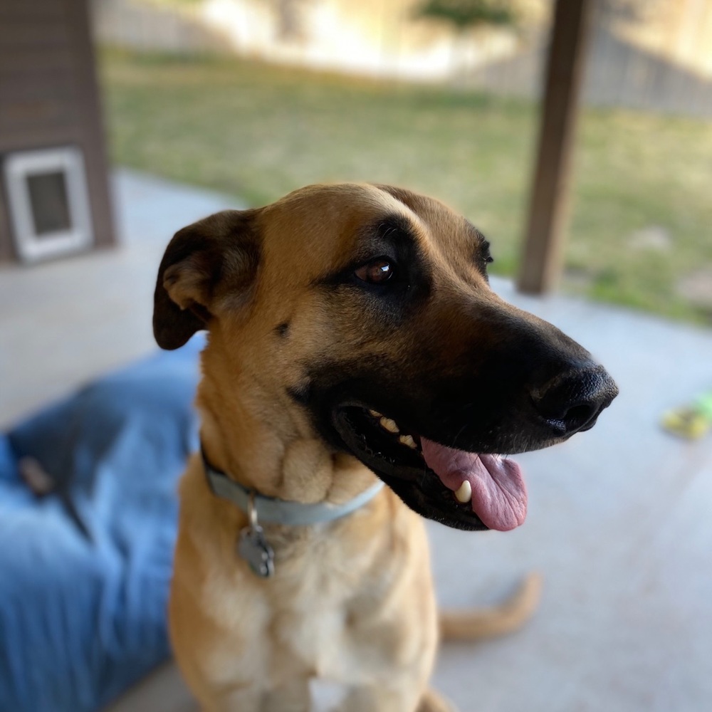 Meet your Posher, Kate